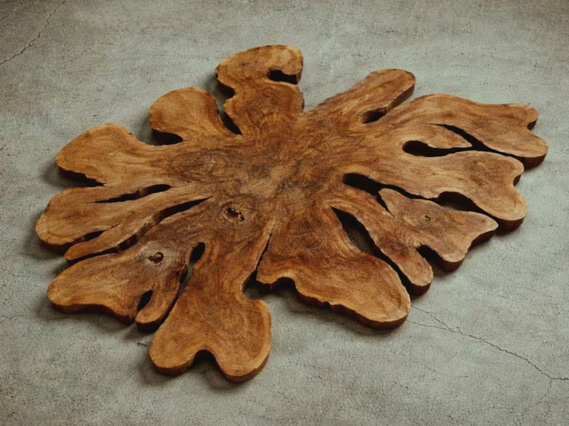 Détail du grain et des cernes de croissance d'un bois tropical